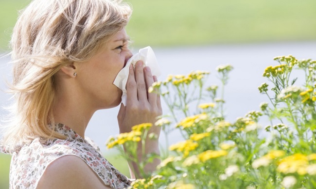alergija-na-polen-simptomi-uzrok-ishrana-i-lecenje